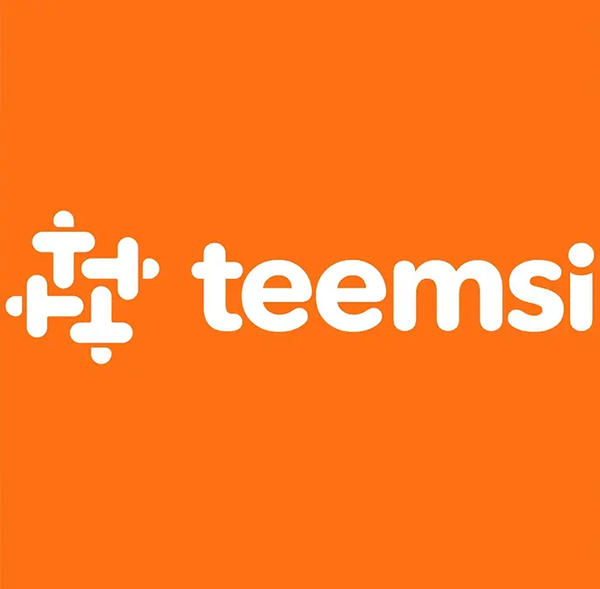 Teemsi